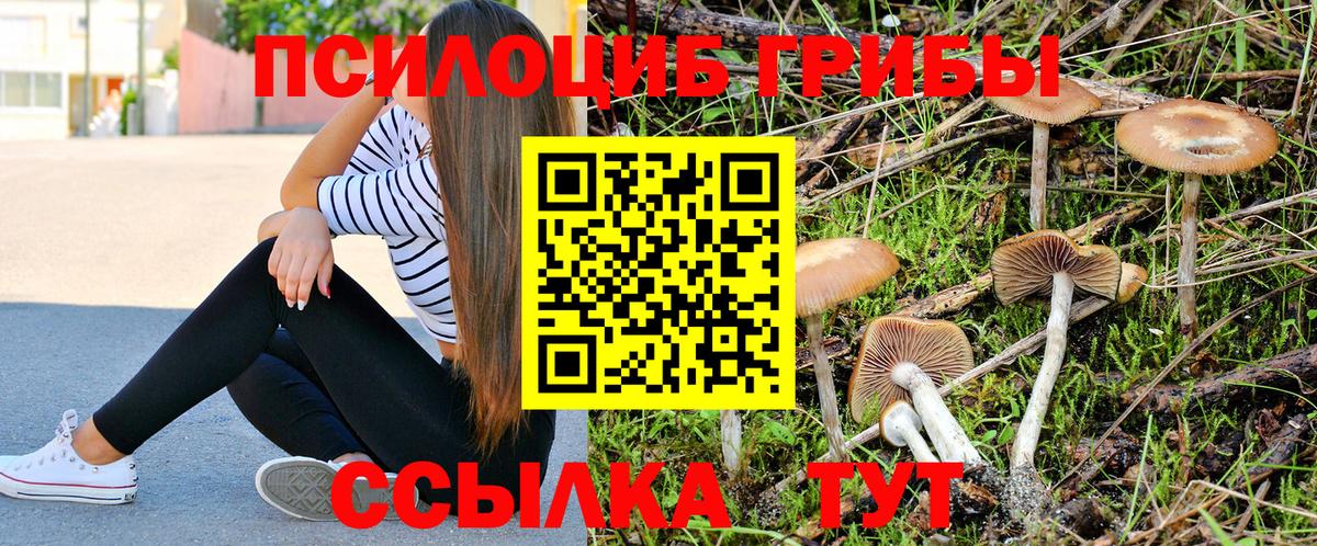Псилоцибиновые грибы Psilocybe  Галлюциногенные грибы Magic Shrooms  Балашов  Вход с VPN 