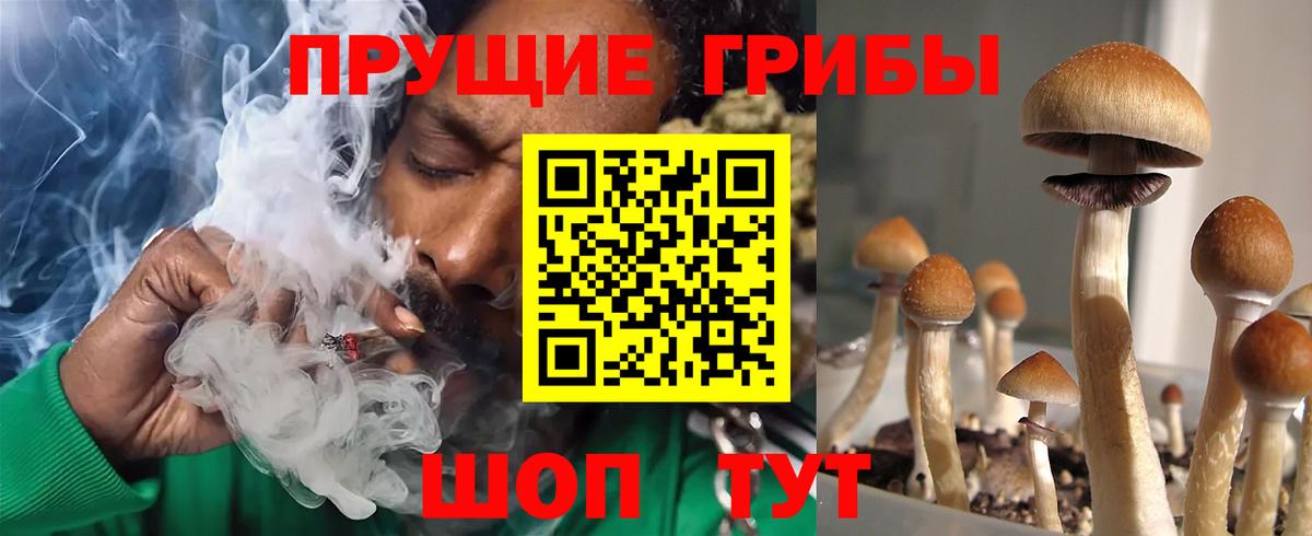 Псилоцибиновые грибы прущие грибы Балашов