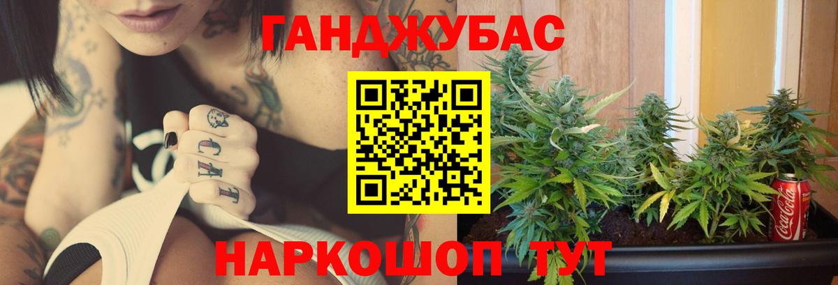 Балашов  Бошки марихуана планчик  Конопля план  Канабис ГИДРОПОН  Вход с VPN 